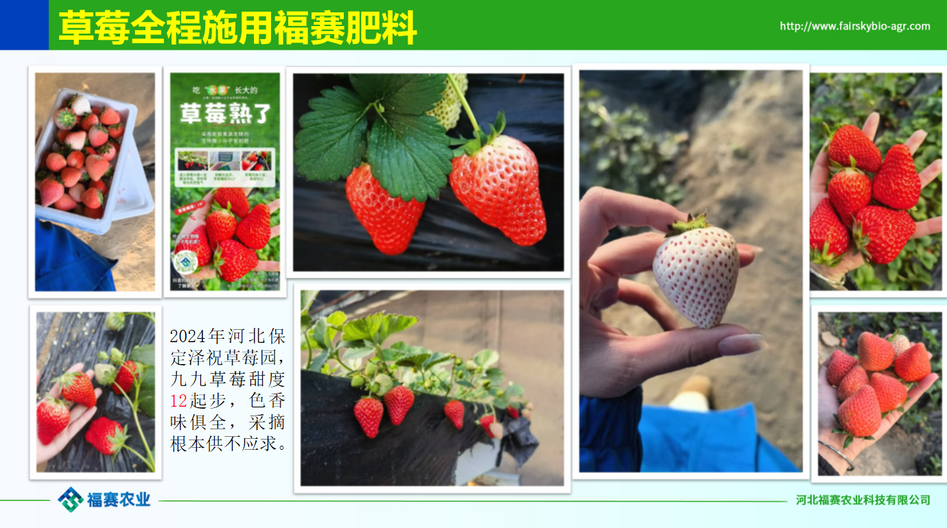 微信图片_20260601153415_671_5.png