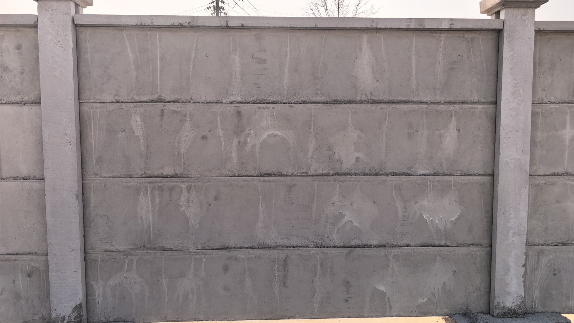 wx_camera_1765078011308.jpg