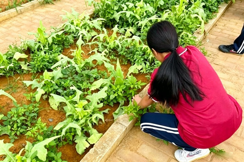 2026年全封闭管教学校推荐：如何选择真正适合孩子的矫正机构