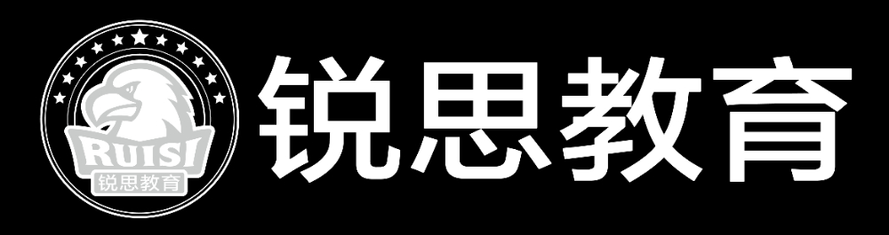 锐思logo白色版-01.png