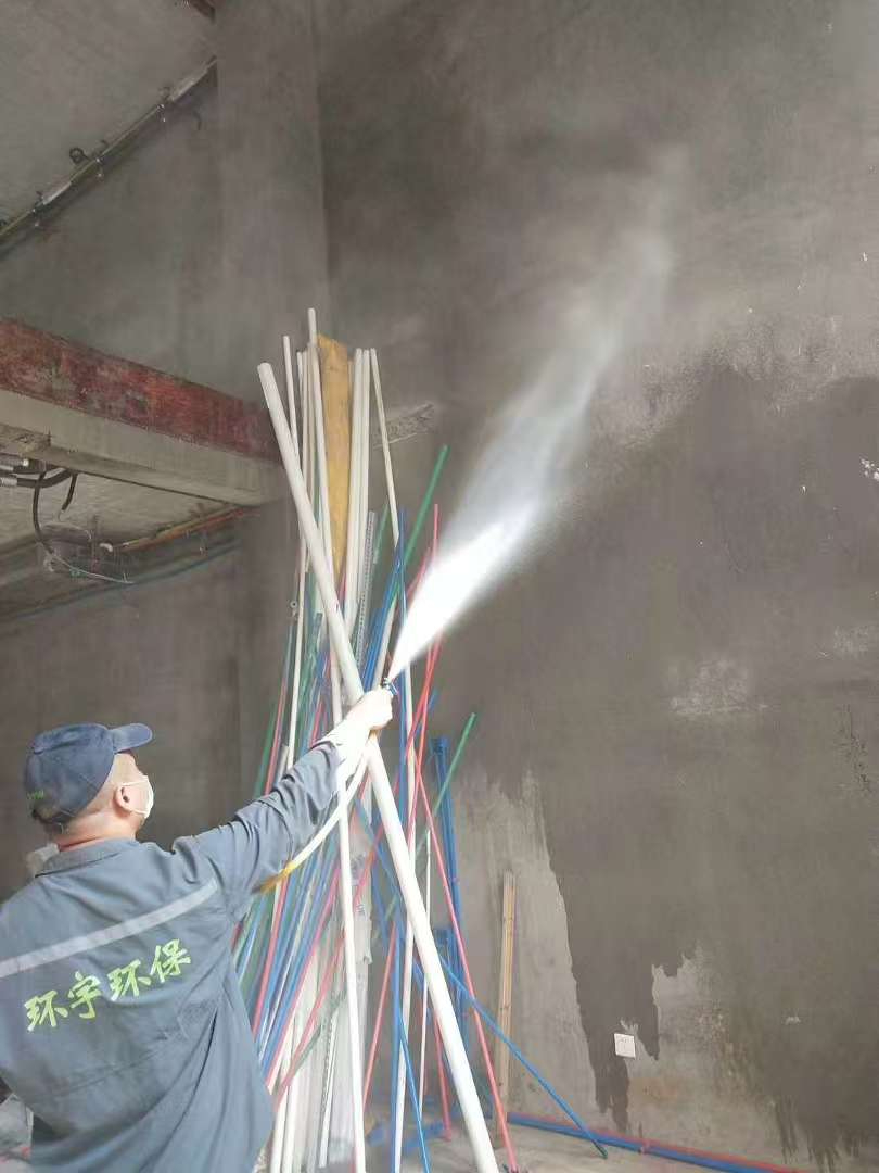 2026年中老鼠消杀机构怎么选？专业除鼠避坑指南与实操建议