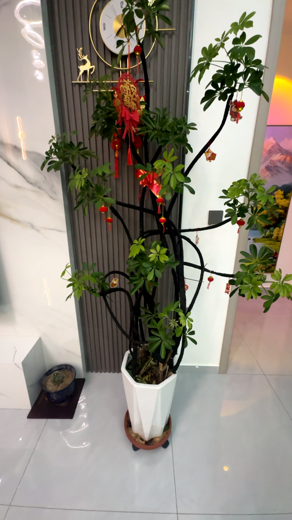 微信图片_20260717115432_396_157.png