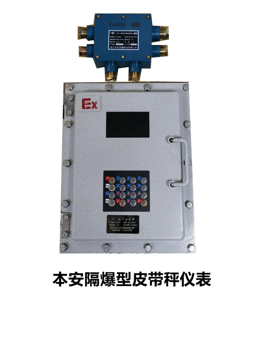 本安隔爆型皮带秤仪表.jpg