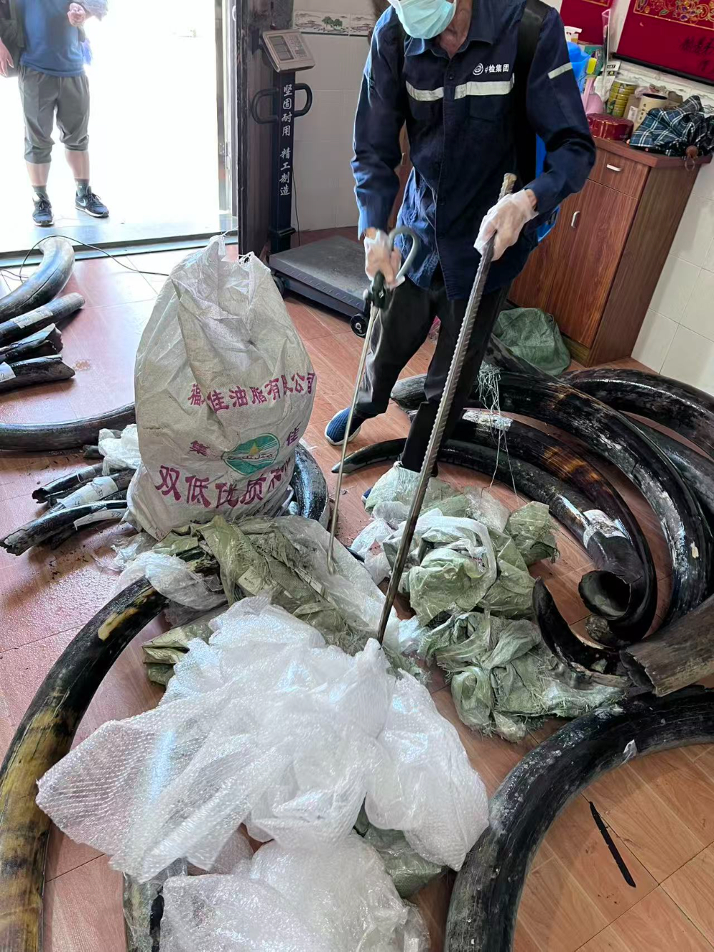 2026下半年猛犸DIY配珠风向标：服务商选择标准与行业“守门人”解读
