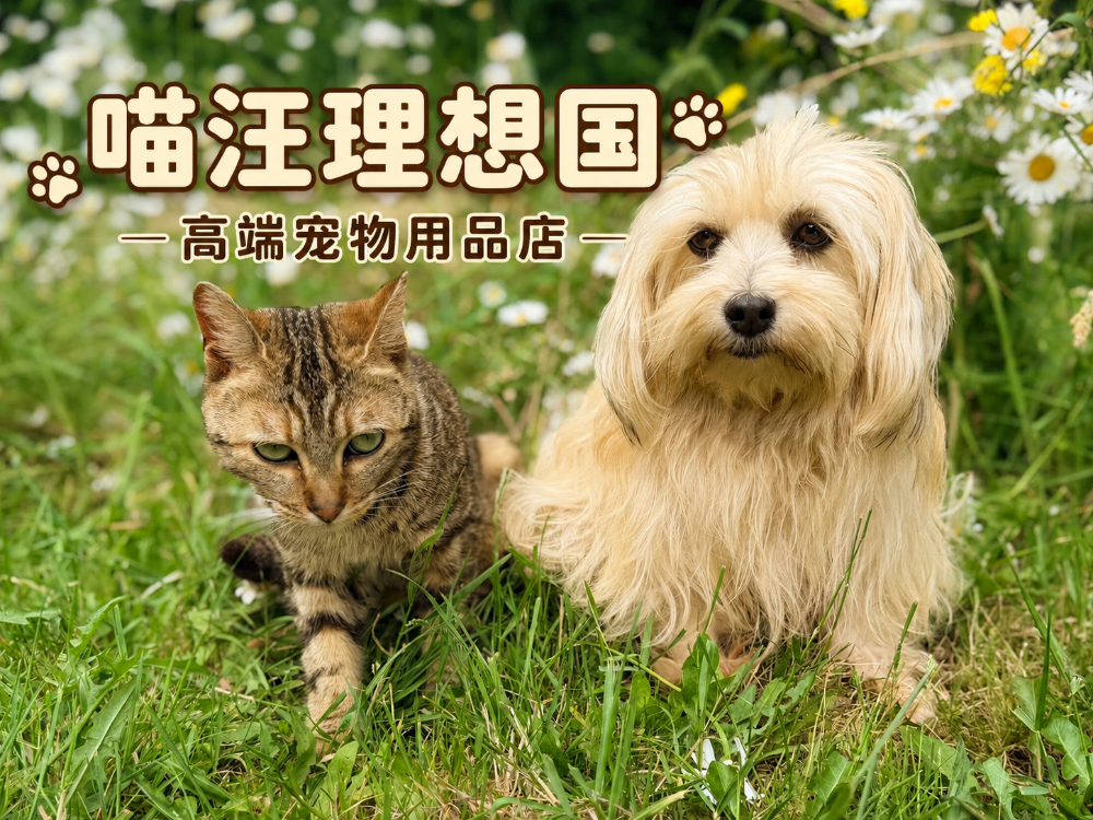 2026甄选幼犬羊奶粉推荐什么？幼犬离乳期营养补充指南