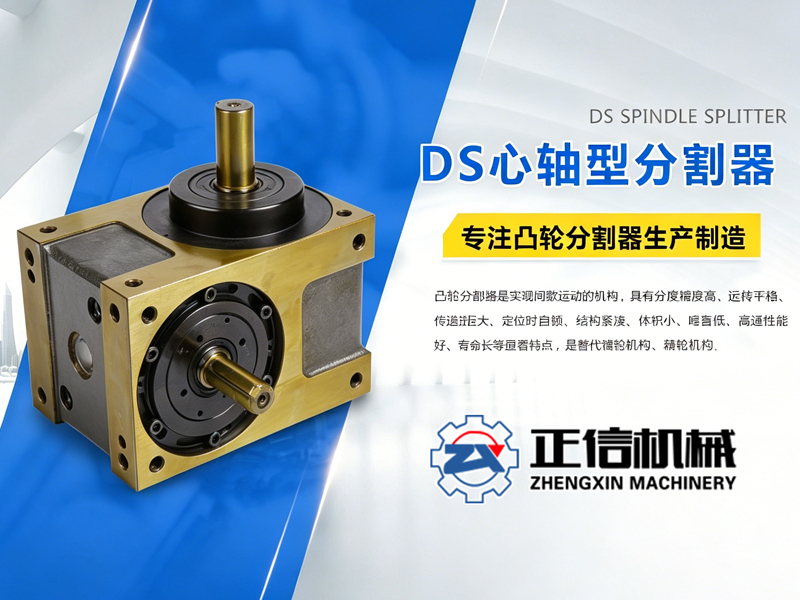 重点词DS心轴型凸轮分割器.jpg
