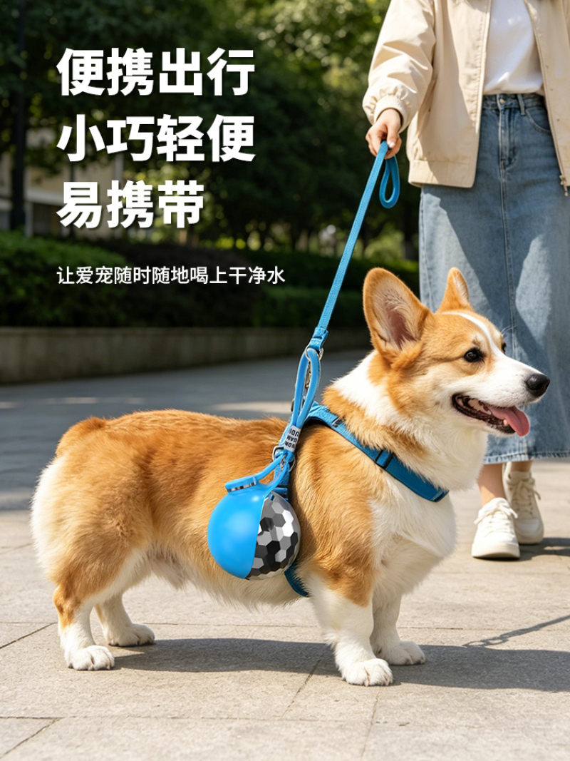 宠物喝水球 (4).jpg