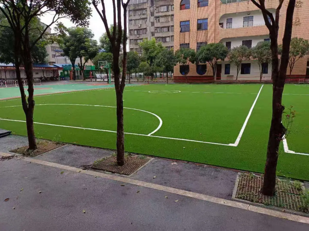 湖北省老河口市第三小学.webp
