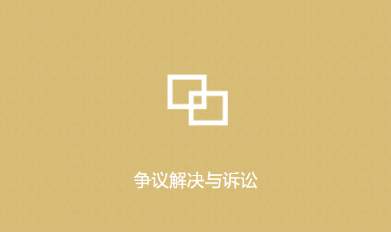 争议解决与诉讼.png