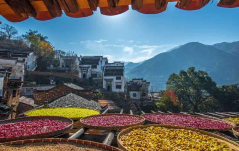 【黄九千】黄山•九华山（主景区）•宏村•婺源篁岭•千岛湖•古徽州精品双飞纯玩6日游_p03_01.jpeg