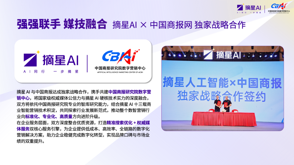 摘星AI企业介绍V260625_10.png