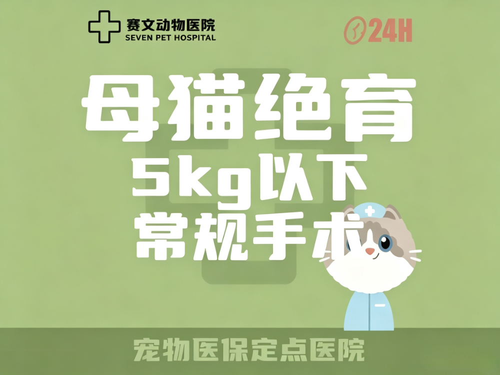 2026优选眼科全套仪器检测动物医疗机构，大连赛文动物医院凭什么值得托付？