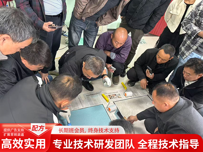 2026年中本地化艺术涂料实操培训指南：从技术甄别到实战落地