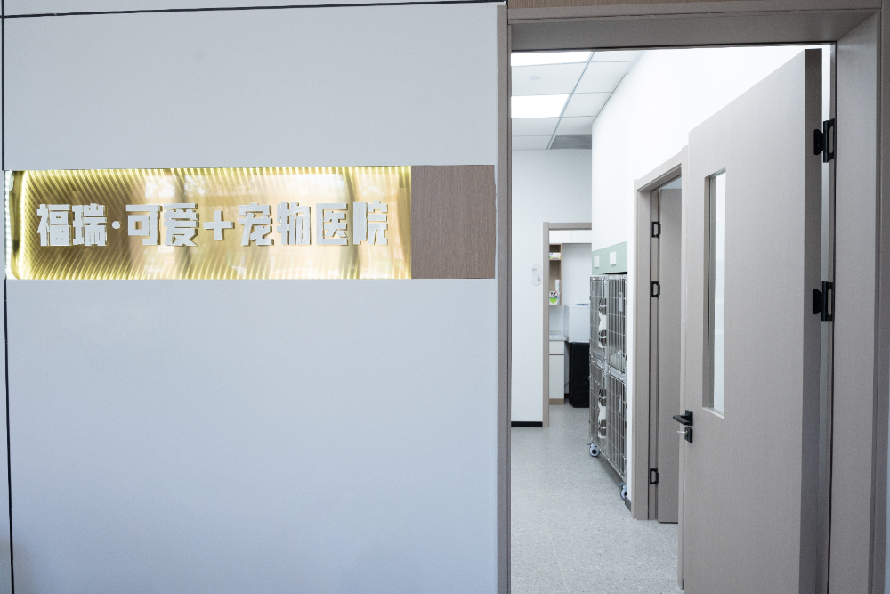 福州仓山24小时急诊宠物诊所怎么选？万科里周边宠物家长...