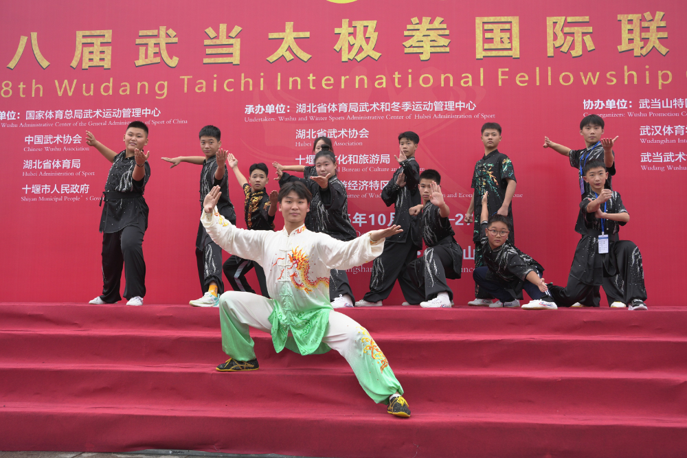 太极大会 (12).JPG