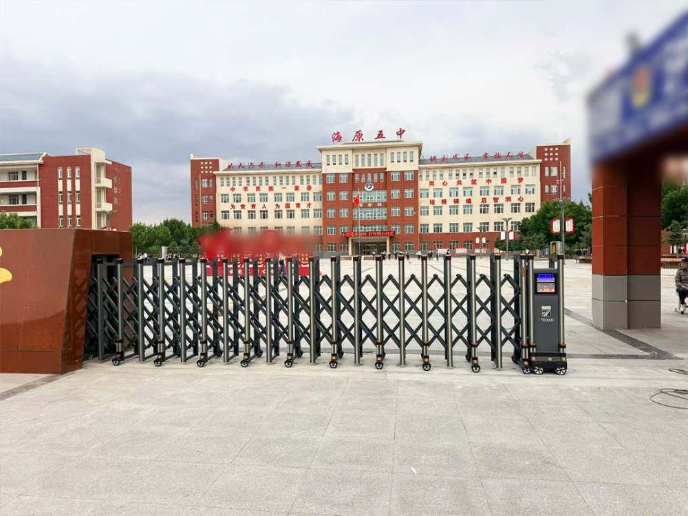 �����ֶε綯�����Ź�Ӧ����ôѡ��2026���б��س������