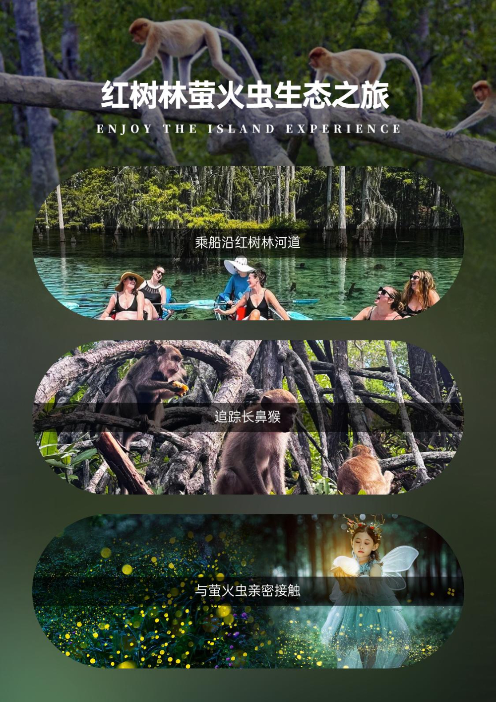 AK沙巴+新加坡双城记_p02_02.jpeg