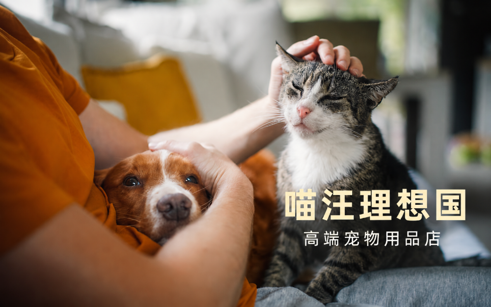 2026优选Gabriel加百利W2鸡肉冻干优缺点全解析：多犬种家庭的营养进阶之选