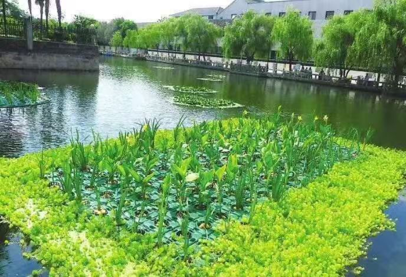 生态浮岛.jpg