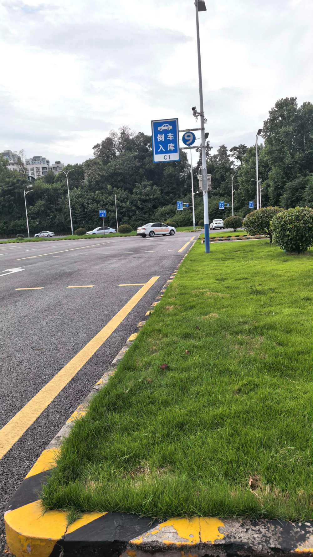 湘江新区零基础学车驾校怎么选？专业分析与推荐