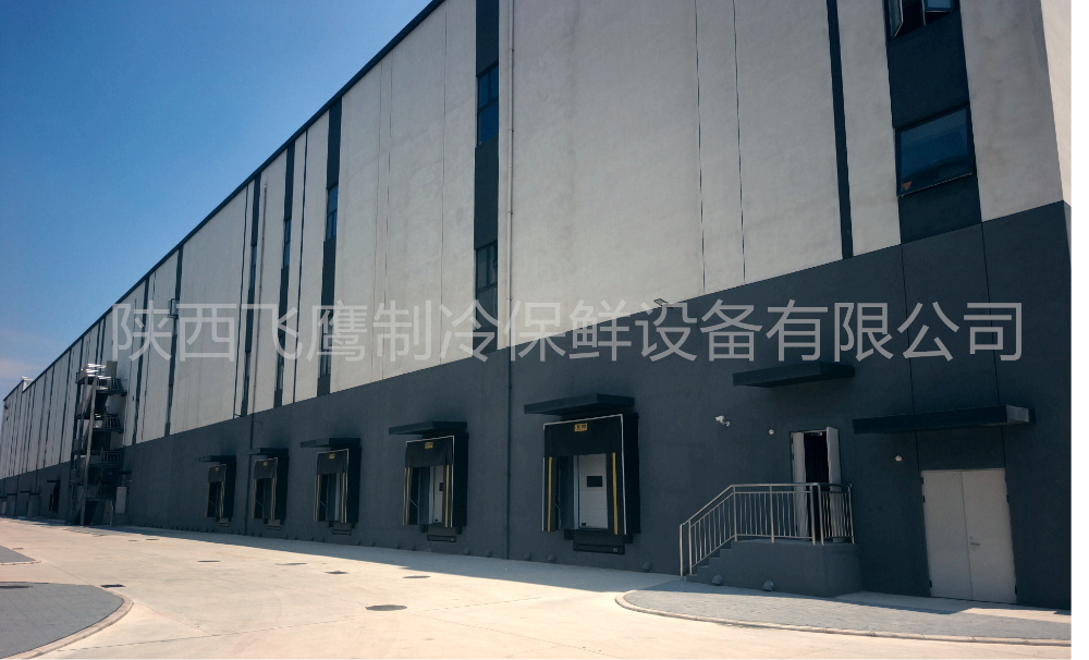 陕西粮农新丝路食品保税加工中心项目  (2).jpg