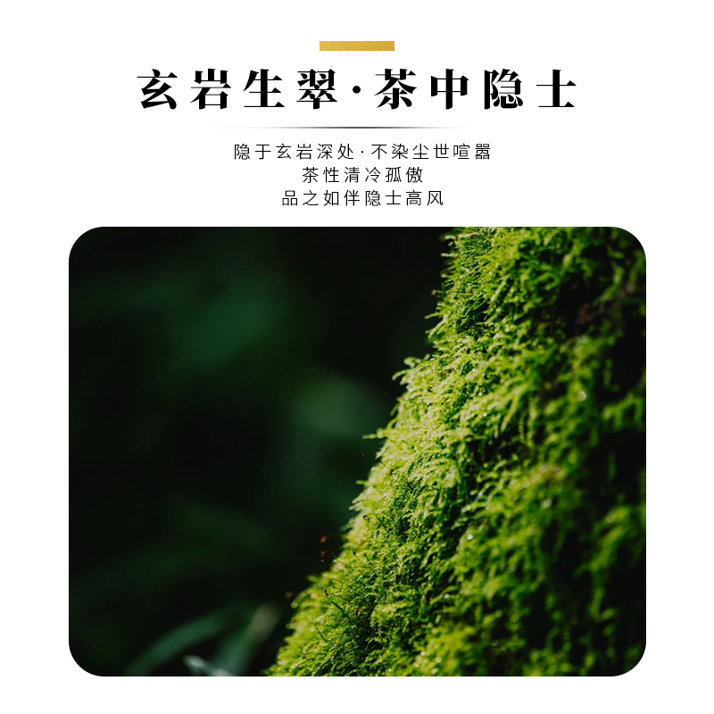 主图10.png