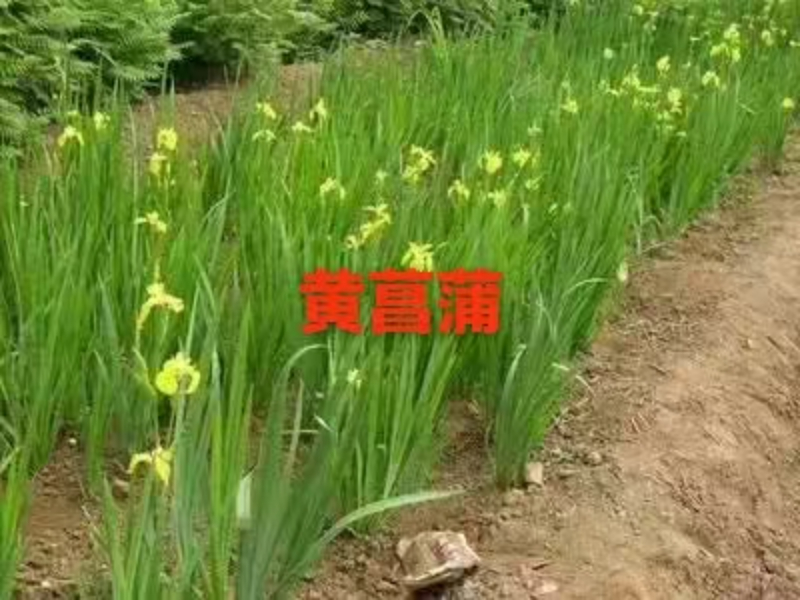 �����ʵ�����˹���������ҵ���Ƽ����Ӽ��������ʵ��������ۺ�ѡ��ָ��
