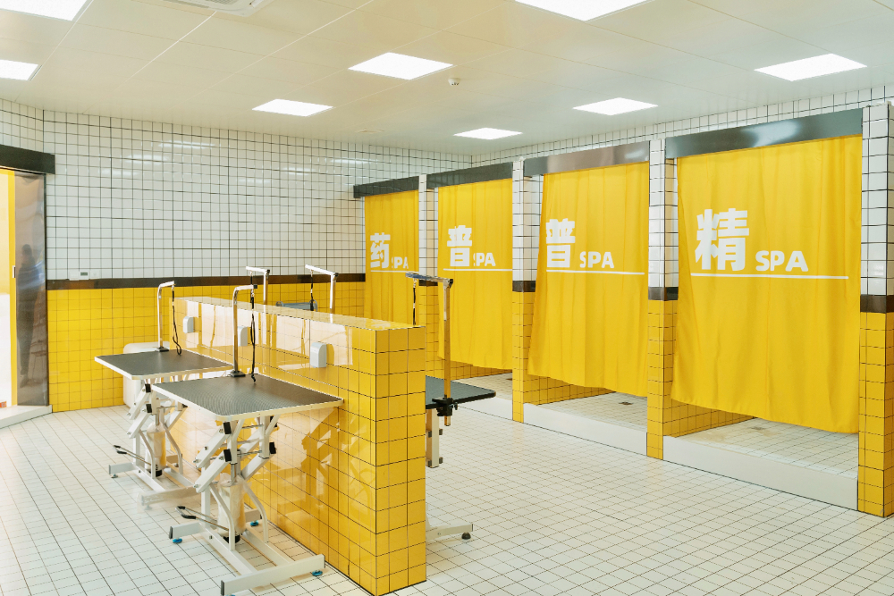 ���˳���è�������ѡ����ԣ�Ѫͳ��Դ�뽡�����ϵ�ȫά�Ȳ��