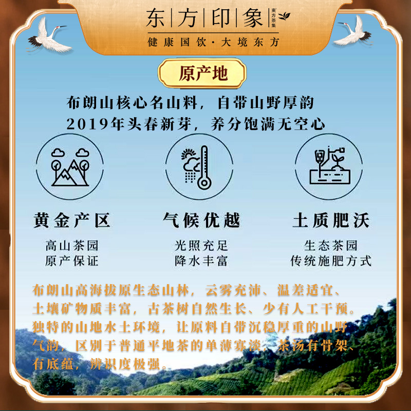 画板 8.jpg