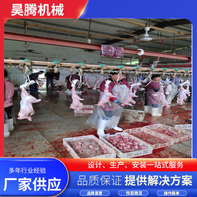 兔.jpg