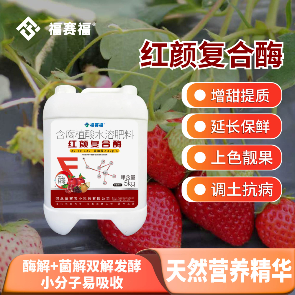 主图6.jpg
