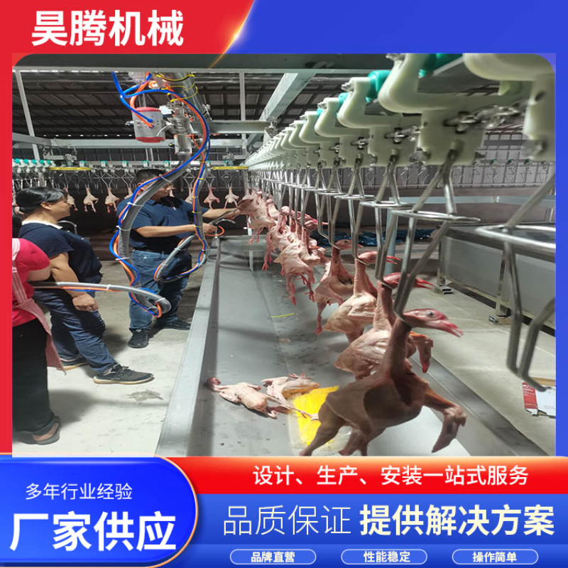 �Ϸ�ȫ�Զ�������ɱ�豸������ôѡ��רҵ���۳�����ȷ���