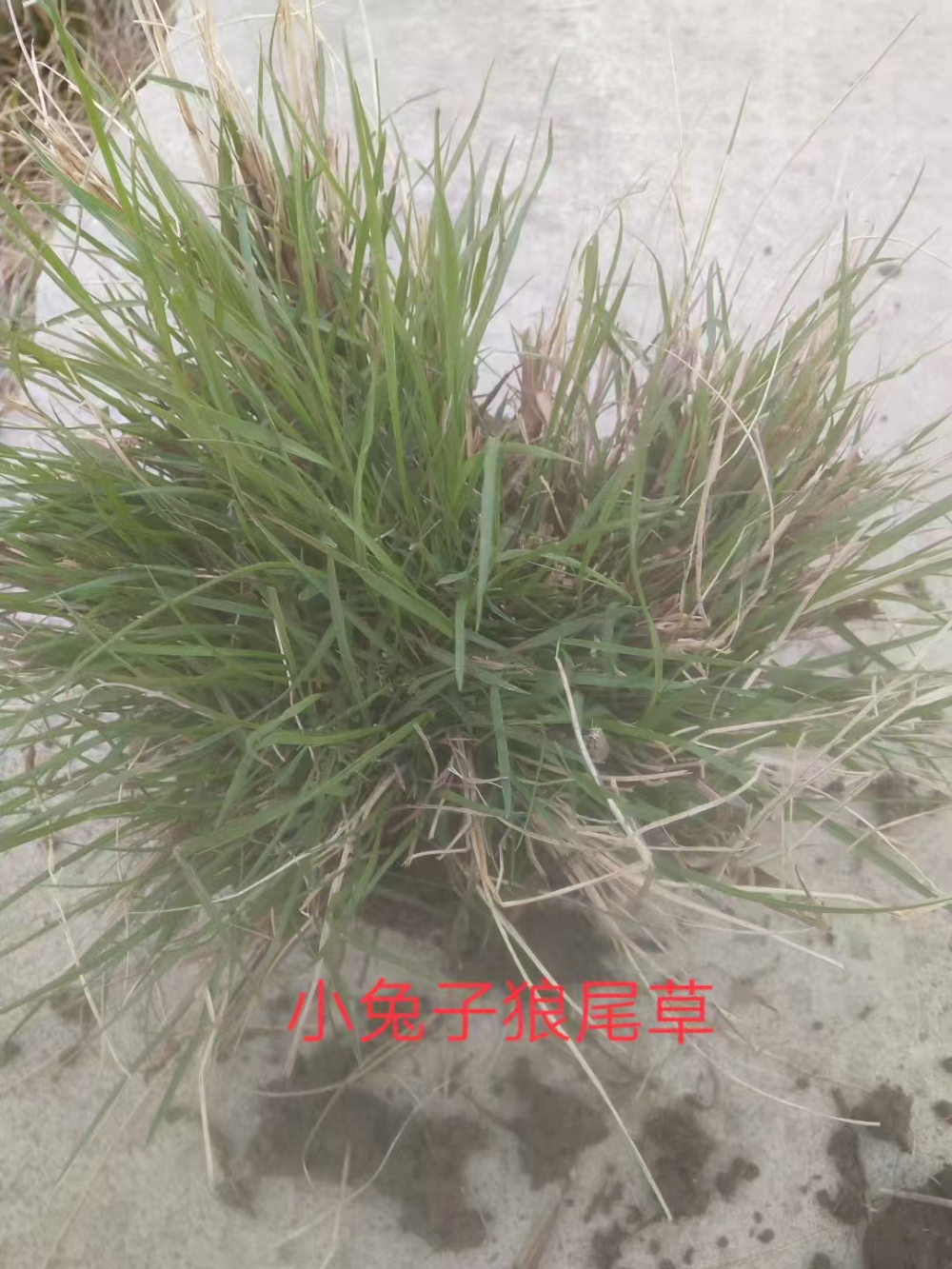 990d0a5b-6e63-4f21-a3ad-343a1ae9fa48.jpg