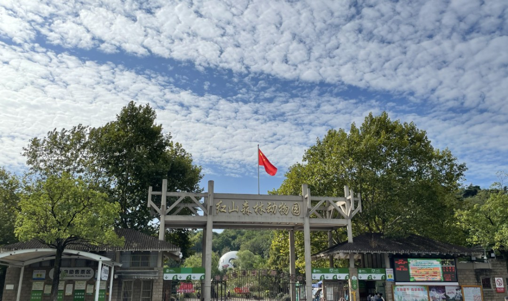 南京—红山动物园.jpg
