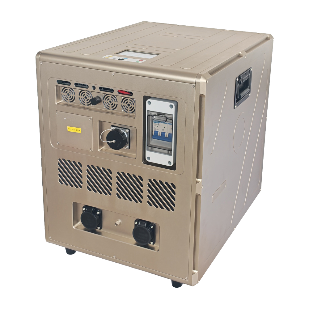 G300-24K 02.jpg