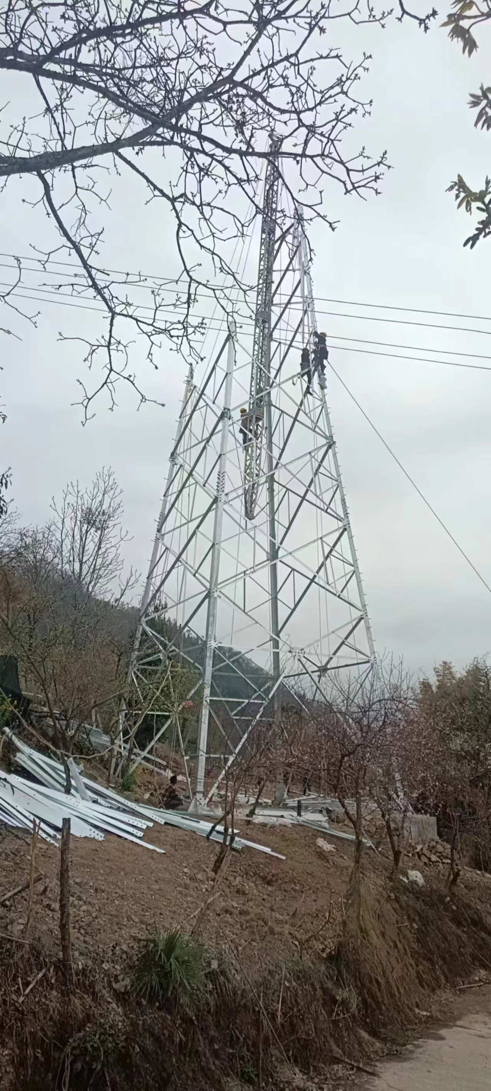 微信图片_20240129113940.jpg
