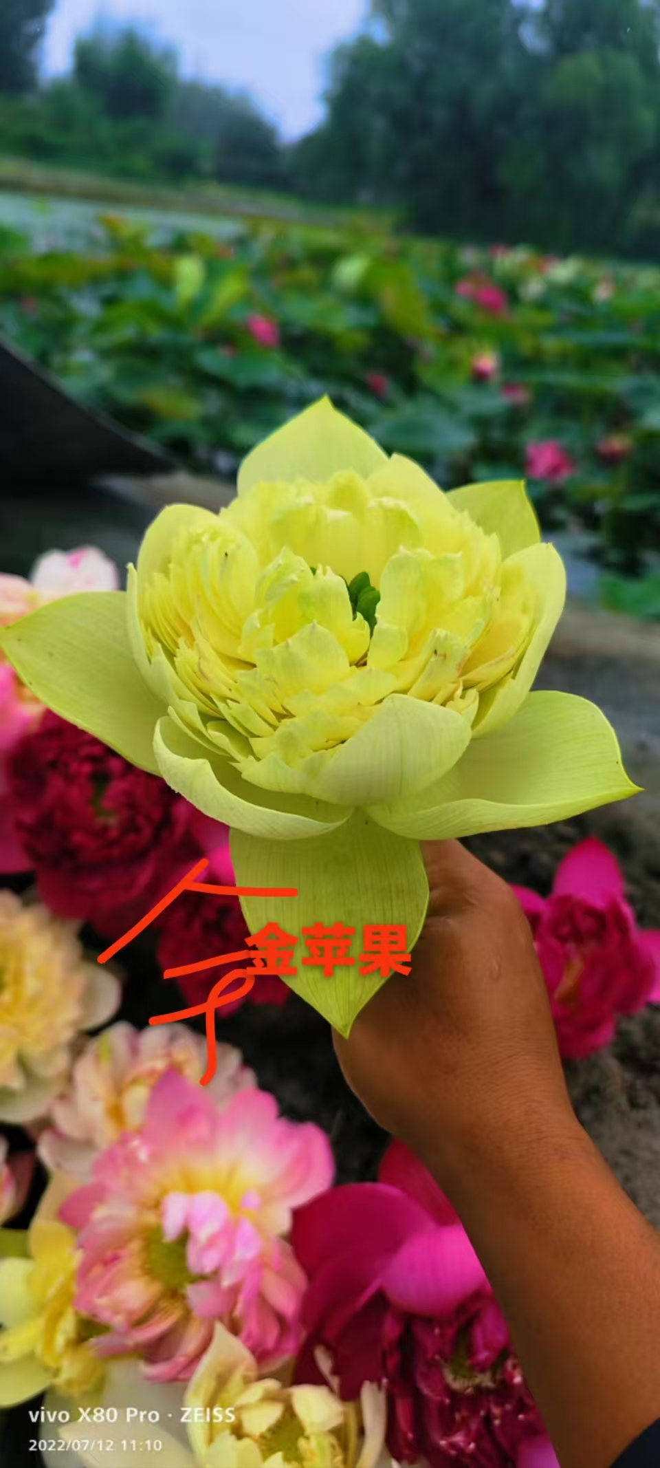 7360f1cd-6c08-457a-bf9d-c8ee87c75922.jpg