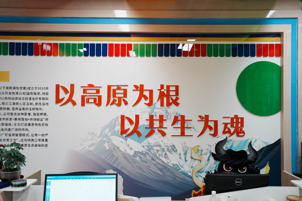��ʲ��������ѡ����λ�Ƽ�ָ�ϣ����Լ۱�Դͷ��Ӧ����