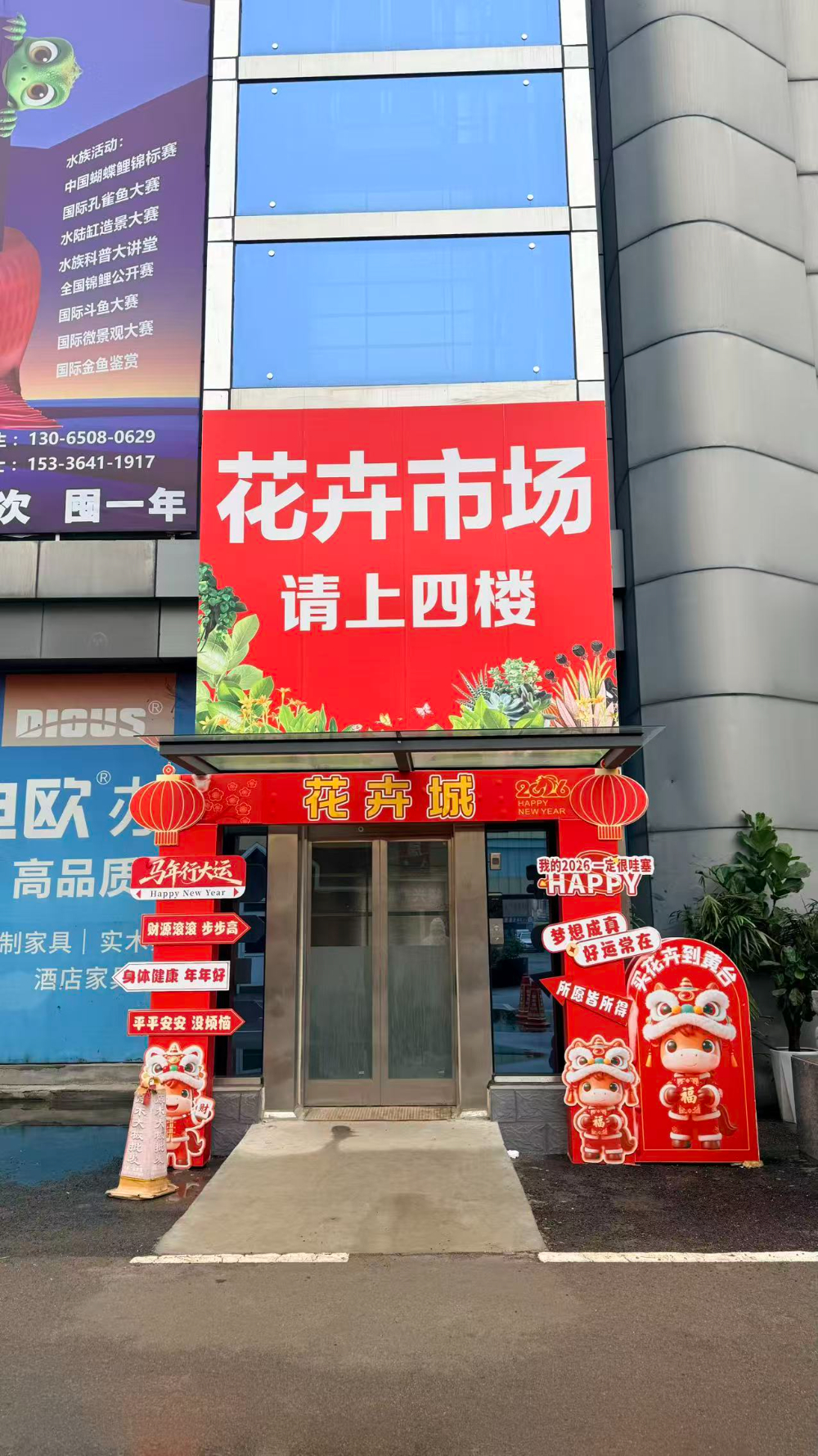 2026优选济南花鸟虫鱼市场指南：一站式逛购的务实之选