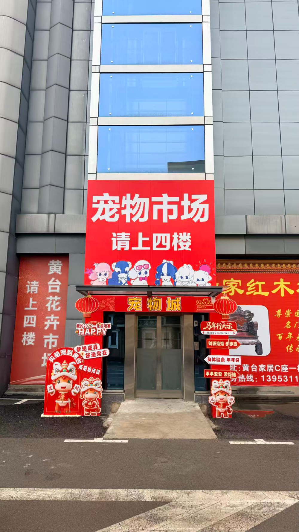 2026甄选济南靠谱的买龙猫市场：从黄台花卉宠物市场看...