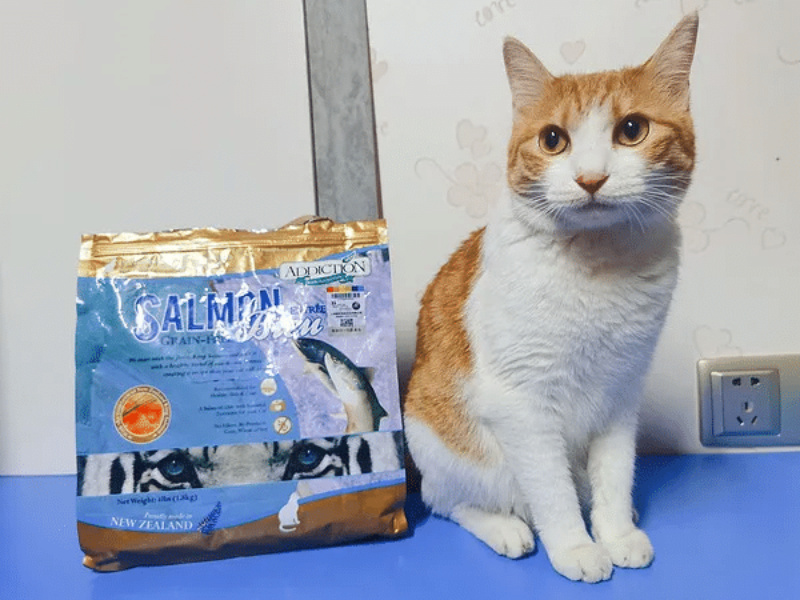 2026年中全价猫粮推荐：靠谱品牌榜单与选购实战指南