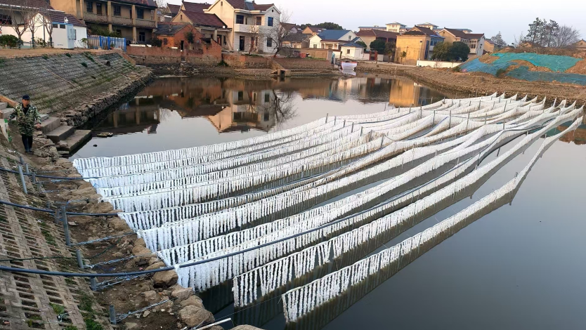 2026年中水生态修复设备生产商选择指南：从资质到交付的全维度解析