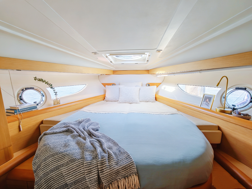 新 (1).jpg