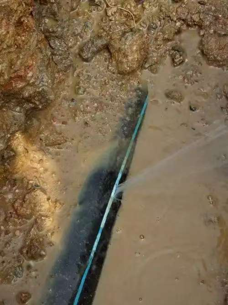 2026临沂管道漏水检测哪家好？本地查漏服务深度解析