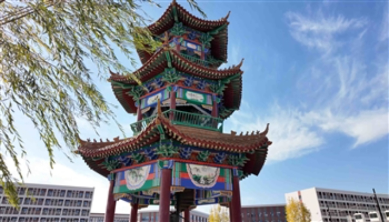 2026年精选民办工程应用类学校哪个好