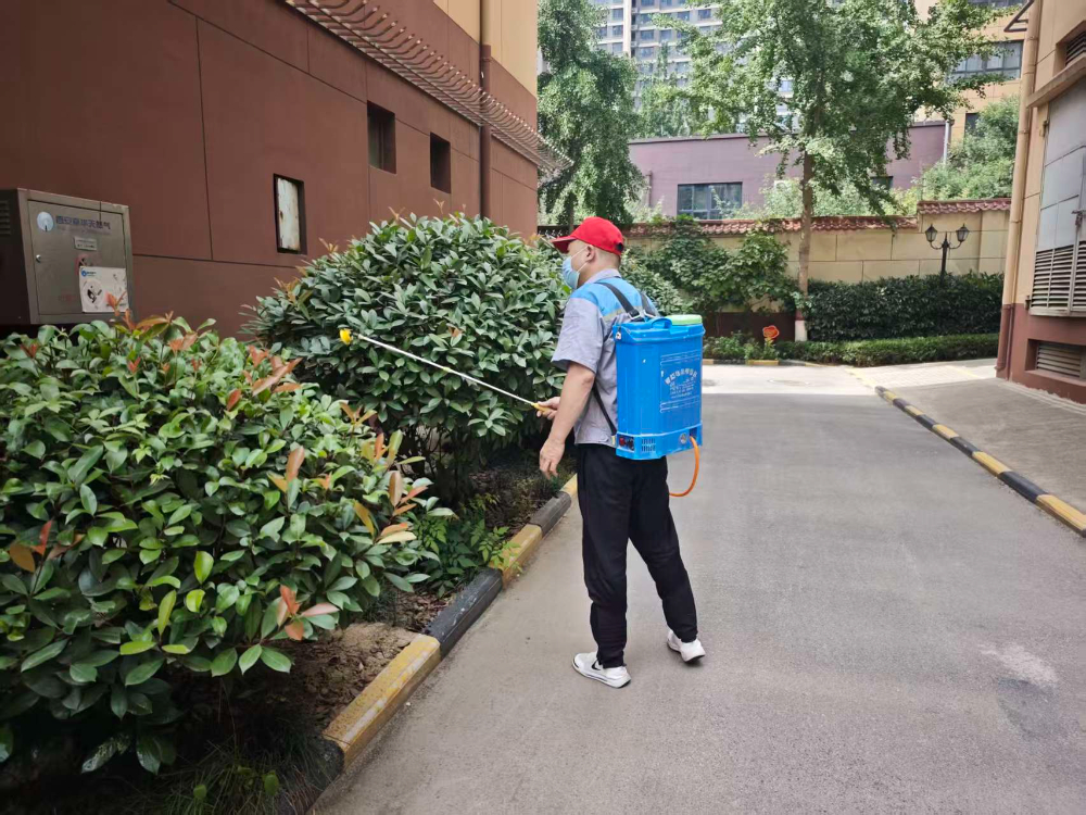 西安PCO消杀机构怎么选？专业有害生物防治服务深度解析