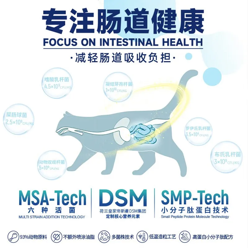 ims (1).webp