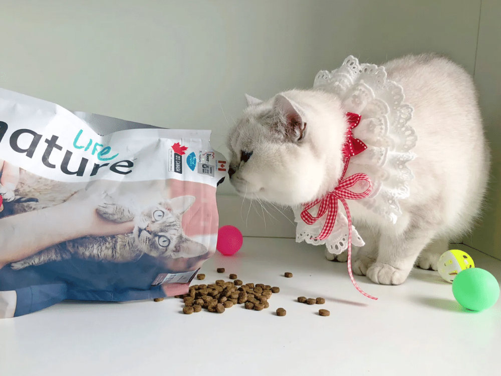 2026甄选猫猫纯肉冻干零食：Gabriel加百利W1冻干全期猫粮靠谱吗？