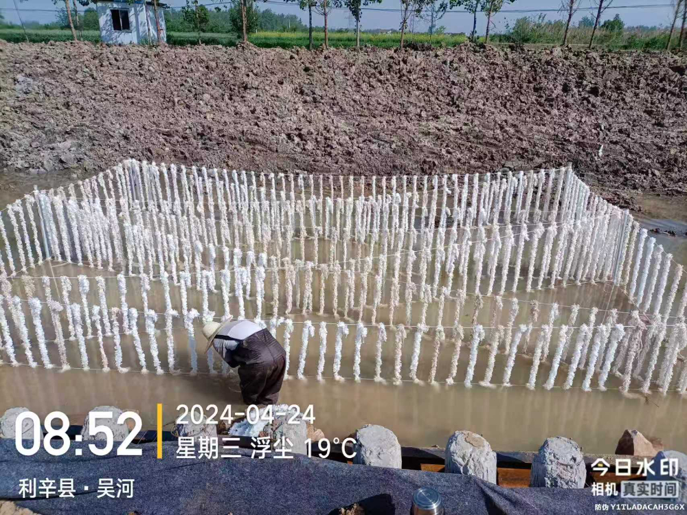 生态填料01.jpg