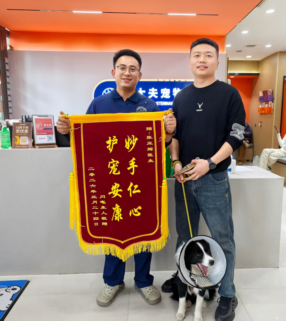 狗狗疾病预防怎么做？山东宠物医院这样选更安心
